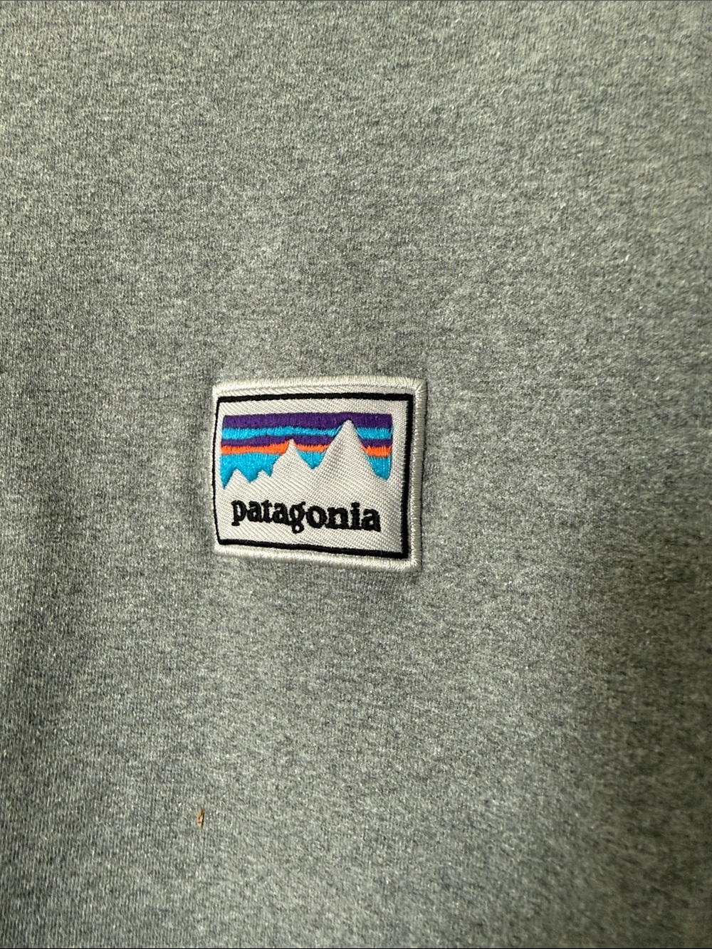 Patagonia Men's Crewneck Sweatshirt - Picture 2 of 3